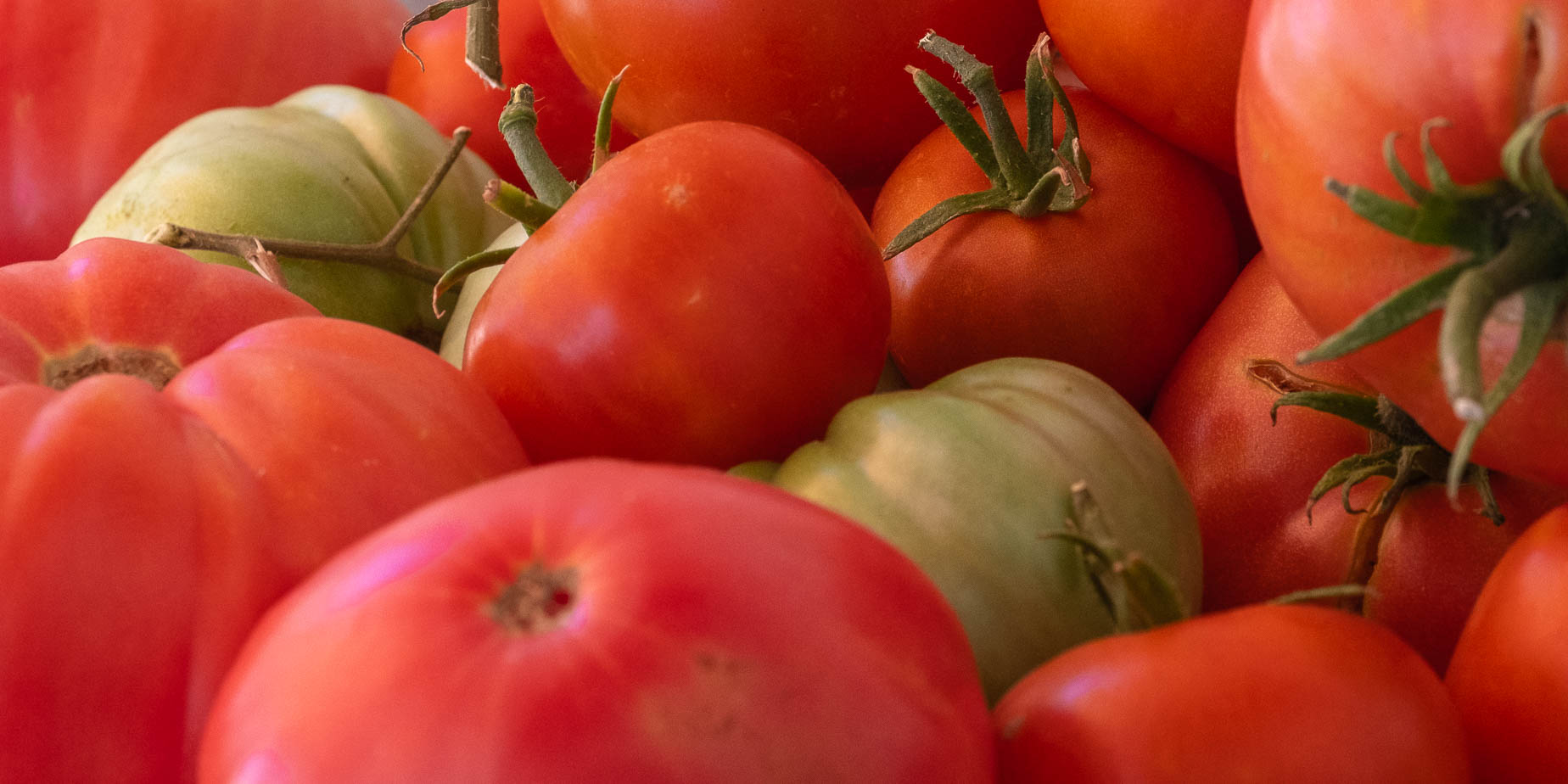 Vad blev det av alla tomaterna?