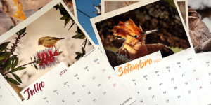 kalender i lightroom