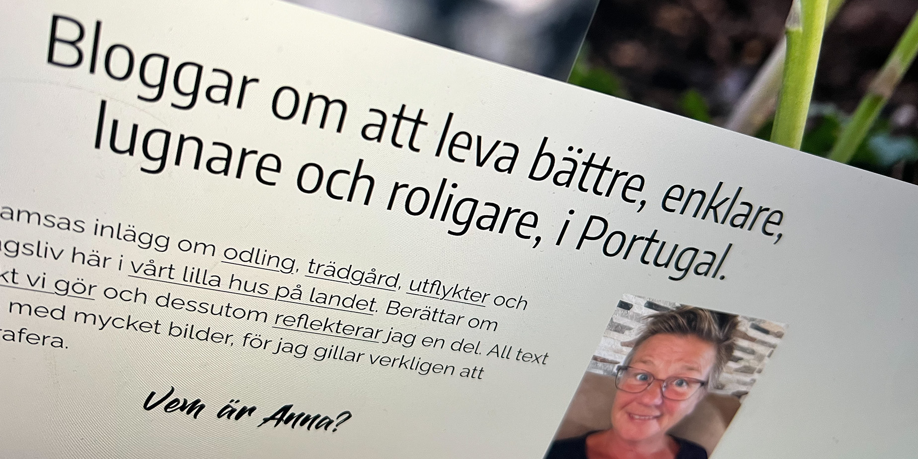 Lekt & ändrat på bloggen